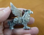 (Y-GRI-4) gray Griffin eagle lion mystic fantasy gem Gemstone carving SO... - $13.09