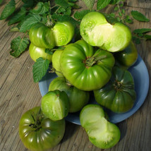 50 Seeds German Green Tomato Juicy Vegetable New Fresh Seeds - £6.27 GBP