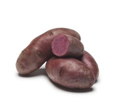Amarosa - 2 lbs pounds - Certified Whole Seed Potatoes for Spring - $803.14 MXN