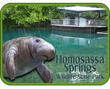 Homosassa Springs Wildlife State Park Florida with Manatee Fridge Magnet - $8.99