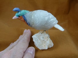 (Y-BIR-QU-30) Quail white green blue bird gemstone STONE figurine Peru q... - $765.07 MXN
