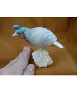 (Y-BIR-QU-30) Quail white green blue bird gemstone STONE figurine Peru q... - $765.07 MXN