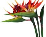Large Bird Of Paradise Permanent Flower, Uv Resistant No Fade Flower, 3 ... - $31.92