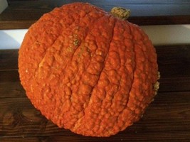 Red Warty Thing Pumpkin - 10+ seeds - (C 023) - £2.35 GBP