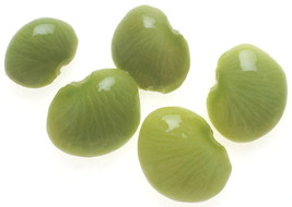 50 pcs Baby Lima Bean Phaseolus Lunatus Vegetable Seeds - £6.72 GBP