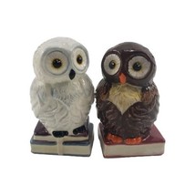 Ceramic Owls on Books w Magnet Salt Pepper Shakers Set - $13.69