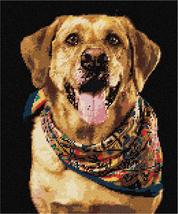 Pepita Needlepoint kit: Dog with Shawl, 10&quot; x 12&quot; - $86.00+