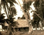 RPPC Aldea De Corozal Honduras Grass Hut Palm Trees UNP Postcard - $14.22