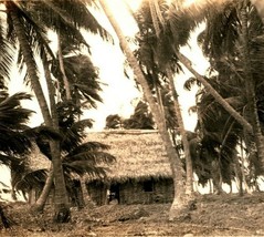 RPPC Aldea De Corozal Honduras Grass Hut Palm Trees UNP Postcard - £11.12 GBP