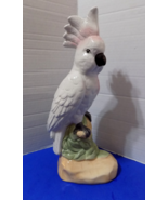 NEW Ceramic Cockatoo Parrot Statue Figurine Tropical Home Decor Birds - $938.74 MXN