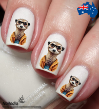 Meerkat Lovers Nail Art Decal Sticker Water Transfer Slider - £3.60 GBP