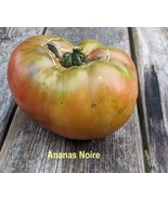 Ananas Noire &amp; Pineapple Tomato Heirloom Seeds – Exotic Bicolor Beauties! - €3,16 EUR+