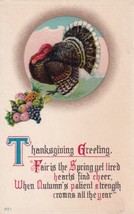 Thanksgiving Greeting Turkey Fair Is The Spring Yet Tired Hearts Postcard B23 - £2.33 GBP
