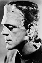 Boris Karloff in Frankenstein 18x24 Poster - $23.99