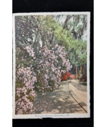 c1930&#39;s Magnolia Gardens Charleston South Carolina NC, Pink Vintage Post... - $186.26 MXN