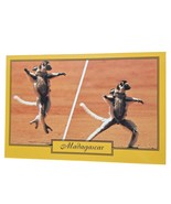 Postcard Lemur Monkeys Madagascar Chrome Unposted - $6.72 CAD