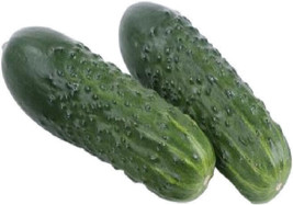 HS 25 Seeds Kirby Cucumbers Planting Edible Food Easy To Grow - £4.10 GBP