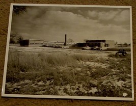 Nice Vintage Black and White Photograph, 1940s-50s, VERY GOOD COND - £3.12 GBP