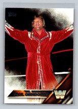 Mr. Wonderful&quot; Paul Orndorff #185 2016 Topps WWE Then Now Forever WWE - £1.56 GBP