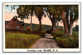 Generic Scenic Greetings Country Road Scene Bliss New York UNP WB Postcard W15 - £3.31 GBP