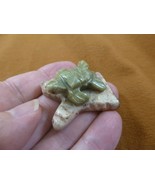 (Y-TUR-LA-107) baby GREEN serpentine Turtle FIGURINE gemstone branch car... - $13.70 CAD
