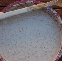 THE BEAST sourdough starter 10 sourdough yeasts in 1 starter @fresh d - $7.72