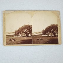 Antique 1884-1885 New Orleans Exposition Stereoview #50 Horticultural Hall RARE - £156.72 GBP