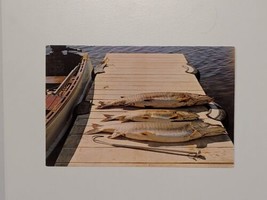 Pike Fishing On Dock Old Boat Eau Claire Wisconsin WI Muskie Midwest Great Lakes - £4.25 GBP