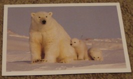 BRAND NEW Nice Merry Christmas Greeting Card, GREAT CONDITION - $2.96