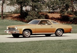 1973 Chevy Malibu tan poster | 24x36 Inch | Awesome! - £15.75 GBP