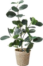 Sarosora Artificial Ficus Tree Fake Plants In Weaved Pot 20&quot; Height, Gre... - $36.99