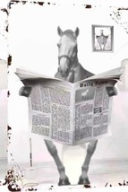 Metal Tin Sign Vintage Horse Newspaper Humour 12x8 Inch - $24.74