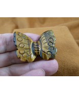 (Y-BUT-576) little BUTTERFLY gem GOLDEN BROWN TIGERS EYE stone figurine ... - $355.23 MXN
