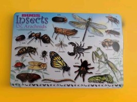 Painless Learning Educational  Bugs Insects &amp; Arachnids Placemats - $13.71