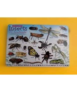 Painless Learning Educational  Bugs Insects &amp; Arachnids Placemats - £10.85 GBP