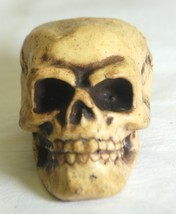 Plastic Skeleton Skull Halloween Spooky Small Party Decor - £6.32 GBP