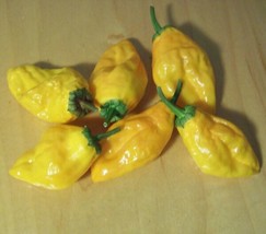 Orange Pepperoncini Pepper Seeds 15 Hot Exotic Spice Culinary Vegetables Salsa H - £4.74 GBP