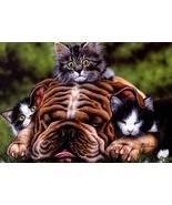 6 CARDS FOR $6.00 - NEW - Wrinkles - Tree Free Greeting Card - 14179 - $54.73 MXN
