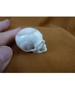 (SKULL-W59) Medium white full skeleton Skull figurine Bali antler crafted - $81.99 CAD