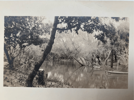 RPPC Postcard Boats Swamp Trees-Good Condition B&amp;W Unposted - £4.81 GBP