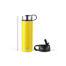 22 Oz Double-walled Insulated Stainless Steel Water Bottle with 2 Lids and Straw - $85.49