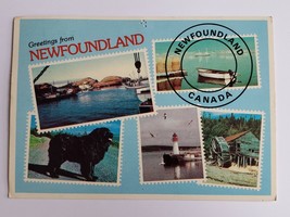 1967 NEWFOUNDLAND POSTCARD VINTAGE NOS UNUSED CANADA CANADIAN TRAVEL CARD - £7.96 GBP