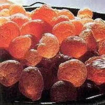  10 Grams Imported Acacia Senegal Sudan Arabic Gum Resin - £7.61 GBP