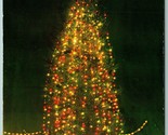 Champion Christmas Tree at Night Tacoma WA Washington UNP Chrome Postcar... - £8.15 GBP