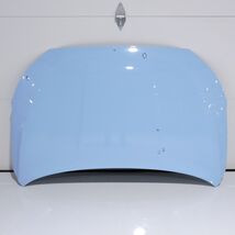2019-2021 Hyundai Veloster Front Hood Bonnet Shell Cover Lid Factory Oem... - $267.30