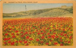 Linen Postcard CA G580 Poinsettia Field Hollywood California Flowers 1944 Cancel - £3.59 GBP