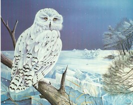 New 8 x 10 Unframed Wall Art Print by artist Richard A Snowy Owl Artic Snow - £5.56 GBP