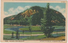 Yellowstone Park Postcard National Park Mountain  - £2.34 GBP
