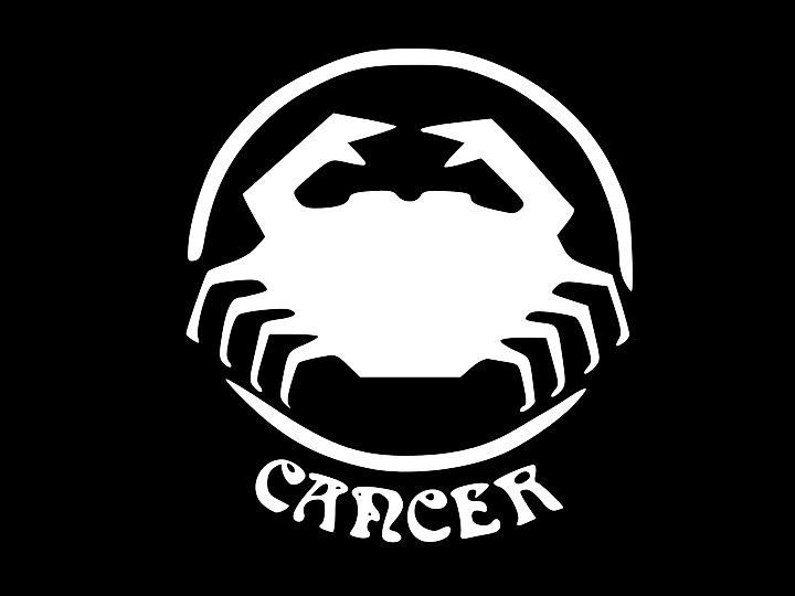 CANCER Seal Birth Sign Astrology Zodiac Vinyl Decal Car Sticker Choose Size