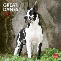 Great Danes 2013 Wall Calendar - $4.99